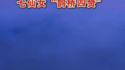 黄梅真有戏 - 黄梅戏《天仙配》鹊桥四赞：人间天上不一样，男婚女嫁配成双
