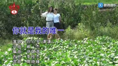 刘心宇 - 你就是我的唯一