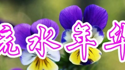 听音乐我快乐 - 高胜美一首经典老歌《流水年华》好听极了