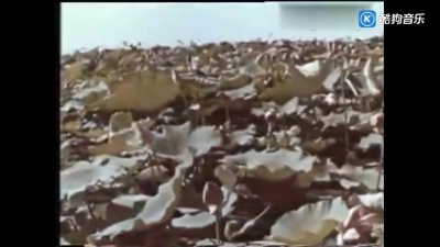 王玉珍 - 洪湖水浪打浪 电影版