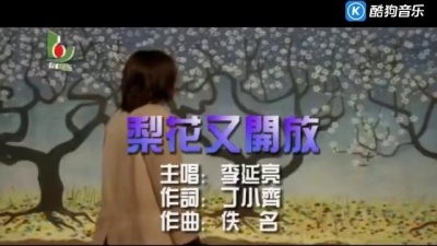 李延亮 - 梨花又开放