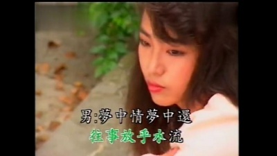 罗时丰 - 梦中情 (KTV版)