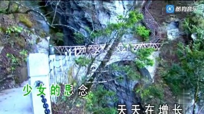 刘紫玲 - 红梅花儿开