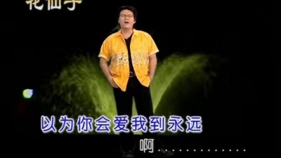庄学忠 - 无情的谎言