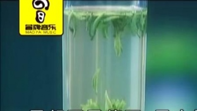 胡红艳 - 中国茶