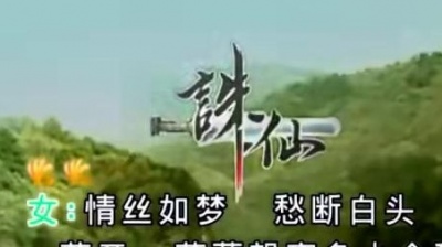 董真、盛威 - 新诛仙.情醉