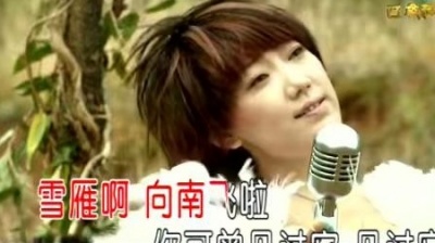 林霞 - 雪雁 (KTV版)