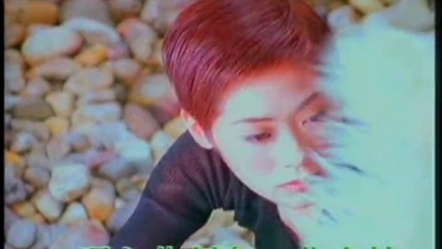 关淑怡 - 真假情话