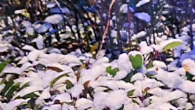 沈墨白______ - 2023年的第一场雪 ，把所有的遗憾埋在雪里，小年快乐~
