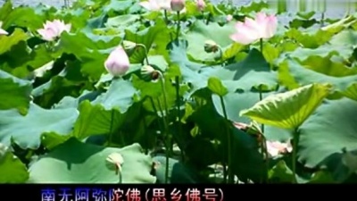 湘佛莲 - 南无阿弥陀佛(思乡佛号) (KTV版)