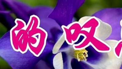 中文金曲 - 林翠萍一首经典情歌《爱的叹息》好听极了