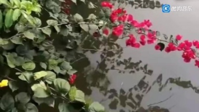 秋水伊人 - 李玲玉 经典老歌《妈妈的吻》熟悉的歌声，满满的回忆