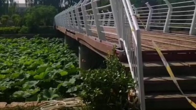 百香果音乐汇 - 韩红一首《雁南飞》经典老歌，悦耳动听，深深让人回味无穷！