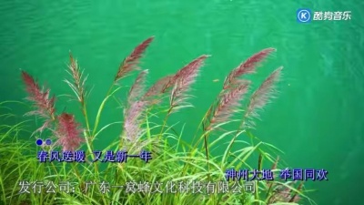 双十二 - 吉祥幸福中国年 (DJ小刚版)