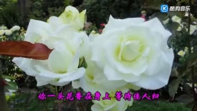 常安 - 梦中的蝴蝶