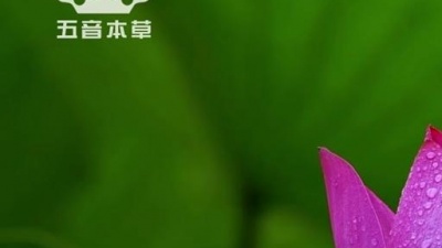 五音本草 - 古筝曲《画心》情意绵绵、美妙动听