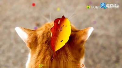 久久 - 我的泪流不到你心里