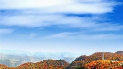 音乐观影团 - 张帝一曲《十一哥》神曲一开口就笑到肚子痛，彻底把台下听众唱醉