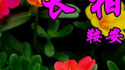 音乐电台 - 鞍安一首经典情歌《长相依》好听极了