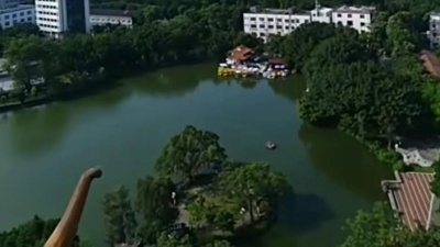 何尝不想拥抱你 - 妈妈不要离开我