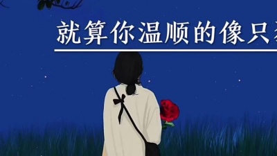 锈骨诗人 - 经典情感语录：在乎你的人和不在乎你的人