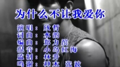 欣哲 - 为什么不让我爱你