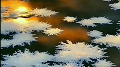 晓莲 - 乔丽娜_《缘为冰》