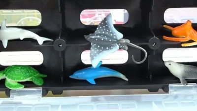 班班和莉莉 - 海底小纵队 巴克队长驾驶虎鲨艇运送海洋生物