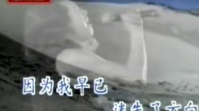 齐秦 - 情网