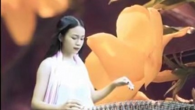 空梦 - 古筝一曲《春光美》旋律优美，曲风怀旧，让人陶醉其中