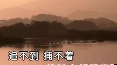王菲菲 - 追捕