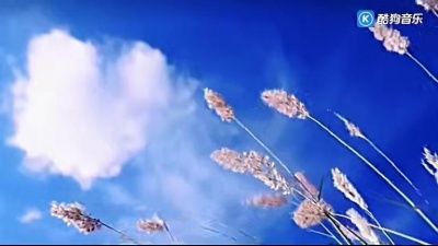 永不放弃 - 下辈子不来了