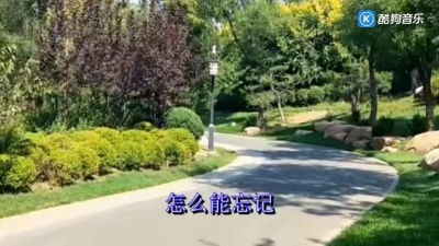 极致音乐 - 张信哲一首《爱已成风》经典老歌，悠扬动听，百听不厌！