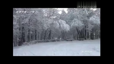 咏逺暧妮 - 我爱你塞北的雪