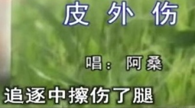 阿桑 - 皮外伤
