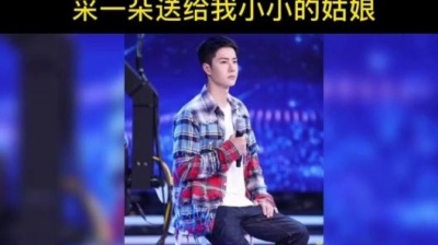李家二姐XZYB - 王一博《萱草花》