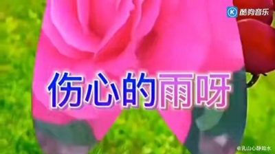 小四川 - 伤