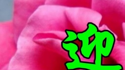吾爱音乐 - 邓丽君一首经典歌曲《迎春花》好听极了