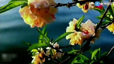 人海茫茫 - 《国色之西施浣纱》绝美的古风曲，天籁之音！