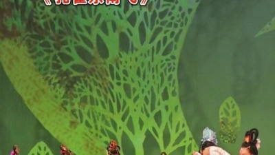 黄梅真有戏 - 黄梅歌舞《孔雀东南飞》，生时未同庐，死却共墓碑！