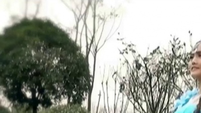 依蓉儿 - 山茶花