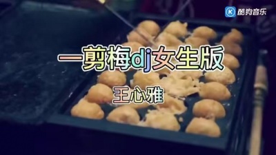 倩倩草莓 - 抖音超火《一剪梅DJ女声版》完整歌曲来了，听听是不是你要的感觉