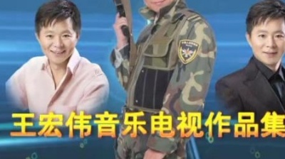 王宏伟 - 天边阿里 (KTV版)