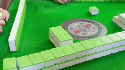 残忍温柔 - 四川麻将：茂茂满脑子骚操作，结果被打成变形金刚