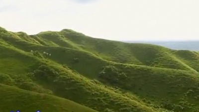 大漠的旅行 - 邓丽君的《盼望有一份爱》，随春风悄悄的来，那是我的一份爱