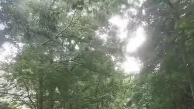 丰兄来了呀 - 算了 话太多不是我的风格#死了都要爱#信乐团