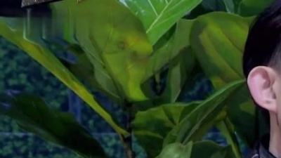 刘学甫 - 爱情失败者