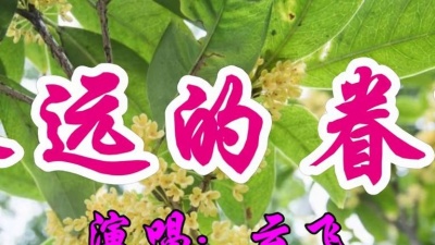 吃瓜音乐 - 经典好歌，云飞一首《永远的眷恋》好听至极