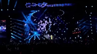 谢丹 - 不可能忘记