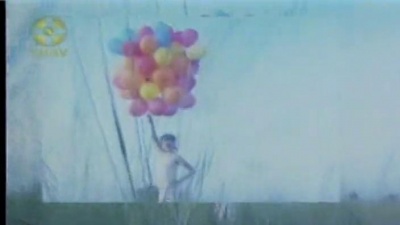 刘小钰 - 桃花岛